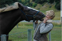 Wild winds, mutual greeting.